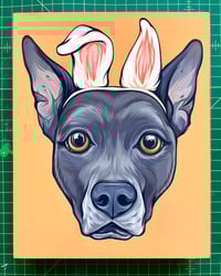 Image 7 of 2025 HOLIDAY PET PORTRAITS