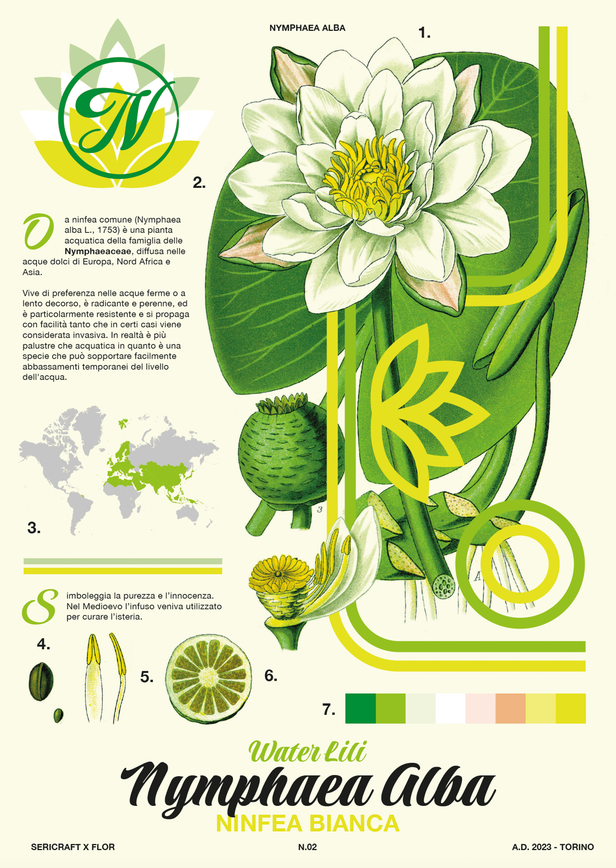 Image of Sericraft x Flor - N.02 Nymphaea alba - Botanical poster