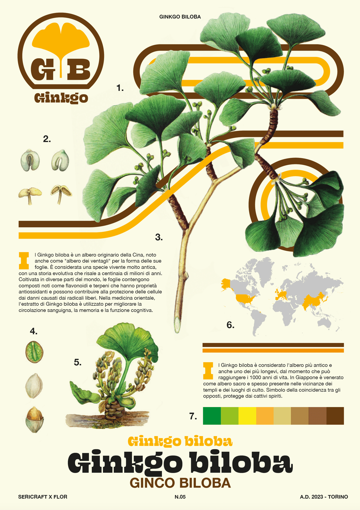 Image of Sericraft x Flor - N.05 Ginkgo biloba - Botanical poster