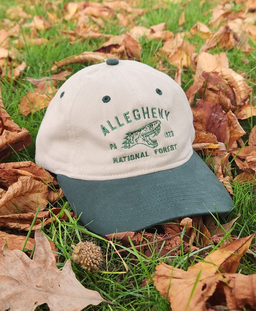 Image of Allegheny National Forest 100yr cap