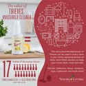 Thieves Household Cleaner 426ml