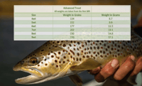Image 4 of Advanced Trout Fly Line