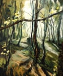 Autumn Woodland  @ Mendips - 20th September 2025