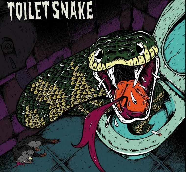 TOILET SNAKE - S/T - Color Lp 