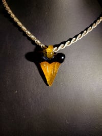 Image 2 of Orange & black shark tooth pendant.