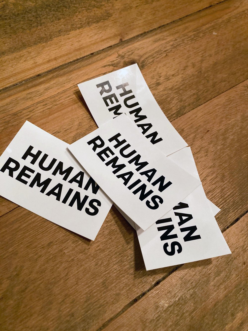 Image of Human Remains