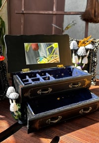 Image 2 of Inky cap jewelry box