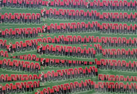 Image 1 of Pack of 25 16x4cm Glentoran Football/Ultras Stickers.