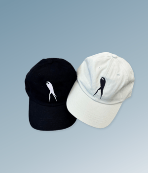 Alejandro Cardenas - Cap