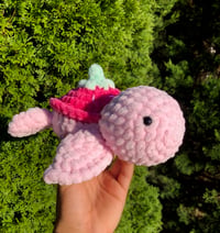 Image 1 of Strawberry Turtle 