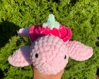 Image 2 of Strawberry Turtle 