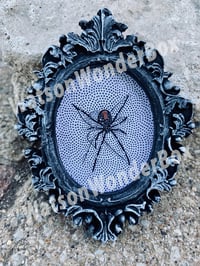 Image of Spider Magnet Large