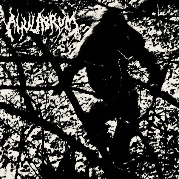 Image of Ahulabrum - Strange Lights Portend Their Presence LP
