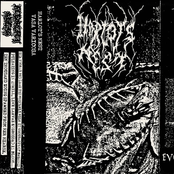 Image of Harlot's Nest - Vasa Varicosa CS