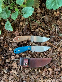 Skinner 