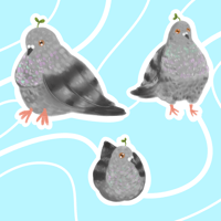 Pigeon Sticker Set