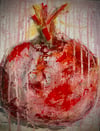 Pomegranate (framed)