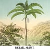 Iriartea Ventricosa | Retro Tropical Print | Palm tree Poster | Vintage Forest Landscape