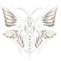 Death Moth Black Tote 