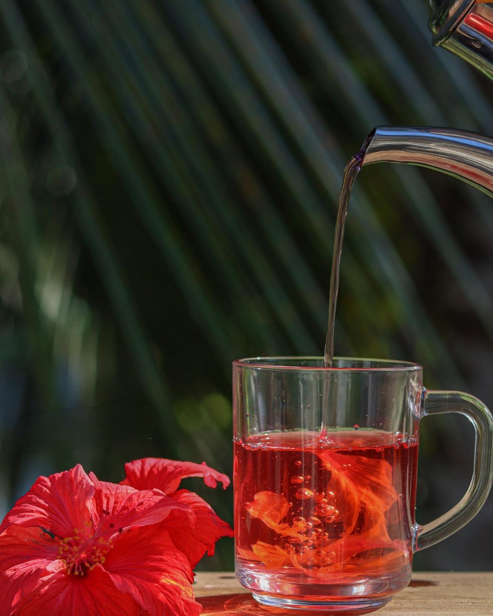 ROSEY RED ROSELLE! Hibiscus Tea-Weight-Circulation-Blood Pressure-Cholesterol-Liver-Mood -Heart