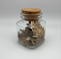 Image 2 of Monarch Wing Glass Jar