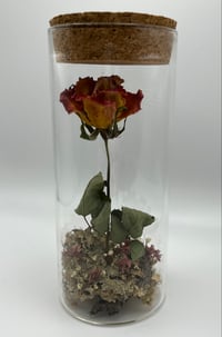 Image 1 of Tall Fiery Rose Jar - Local Pickup Only