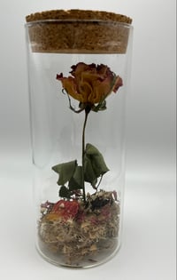 Image 2 of Tall Fiery Rose Jar - Local Pickup Only