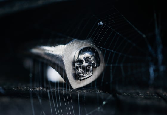 Image of Skull Shield Signet 