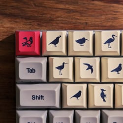 Image of KeyBird Keycaps