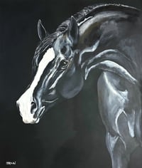 Image 1 of "INQUISITIVE"