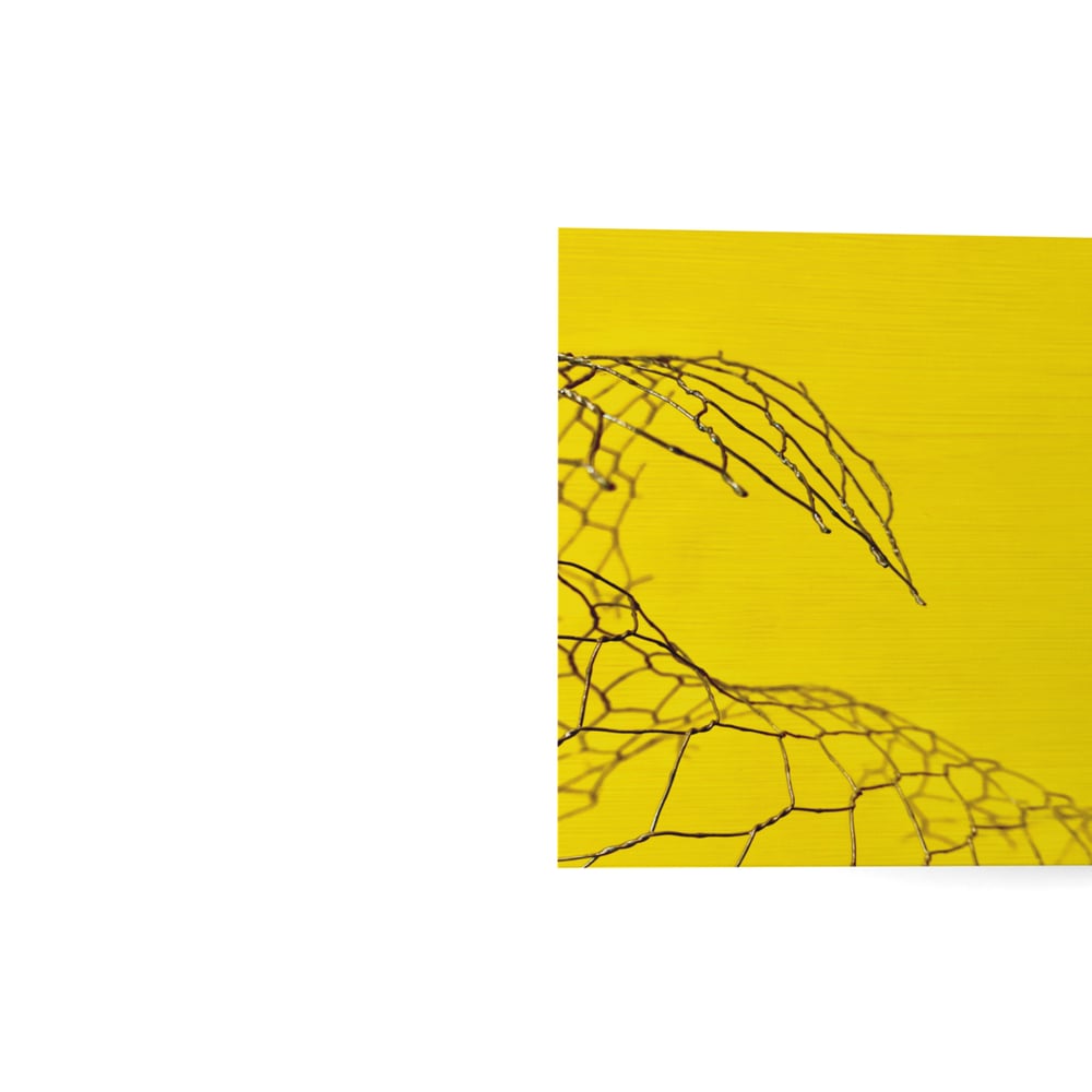 Giorgio Canali & Rossofuoco - Pericolo giallo (CD)