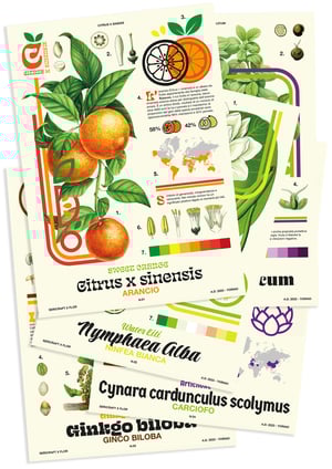 Image of Botanical Prints Serie 1 Full set
