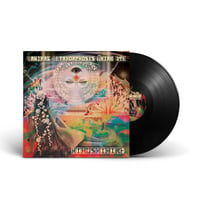 Image 1 of HIBUSHIBIRE ‘Magical Metamorphosis Third Eye’ Black Hole Black LP