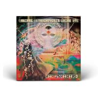 Image 4 of HIBUSHIBIRE ‘Magical Metamorphosis Third Eye’ Black Hole Black LP