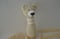 Image of Sonajero oso beige con rayas blancas