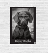 Didier Dogba Poster