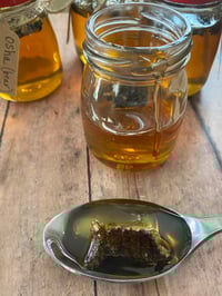 Osha Infused Honey {bear root}