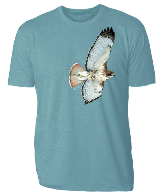 Image of Red-Tailed Hawk t-shirt