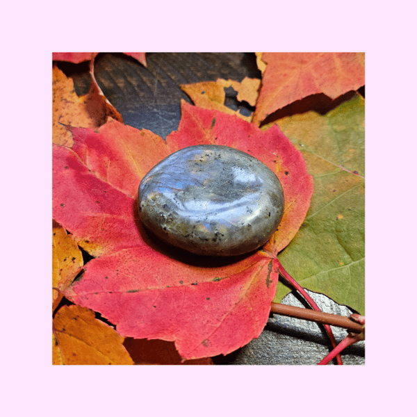 Image of Labradorite Palmstones 