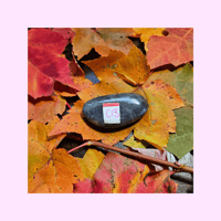 Image 3 of Labradorite Palmstones 