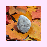 Image 2 of Celestite Cluster Small