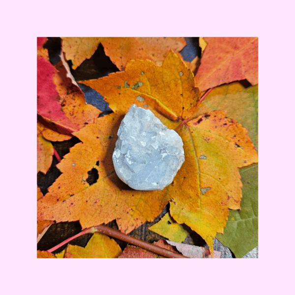 Image of Celestite Cluster Small
