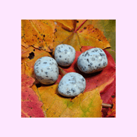 Image 1 of Kiwi Jasper Tumble (Med.)