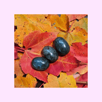 Image 2 of Labradorite Tumble (Med.)