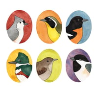 Birds of All Seasons Card Set 12
