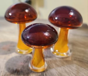 Image of Majik Mushroom Group #1