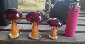 Image of Majik Mushroom Group #1