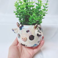 Image 2 of Cow small planter (Price reduce due to imperfect surface)