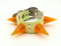 Image 1 of Starburst