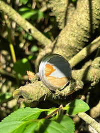 Image 1 of Scenic Jasper Ring
